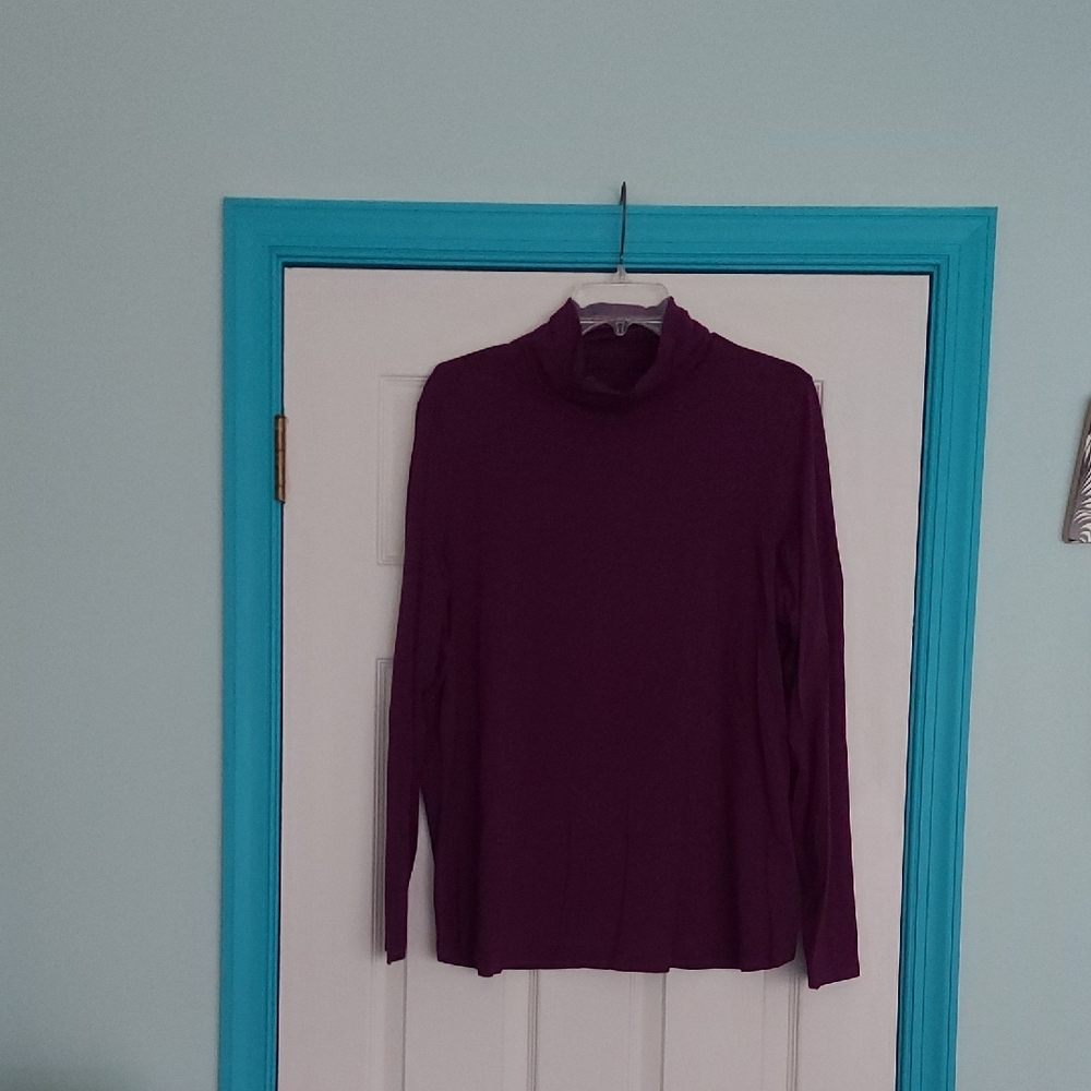 Susan Graver Turtleneck Top